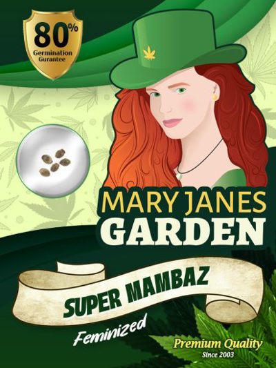 Super Mambaz