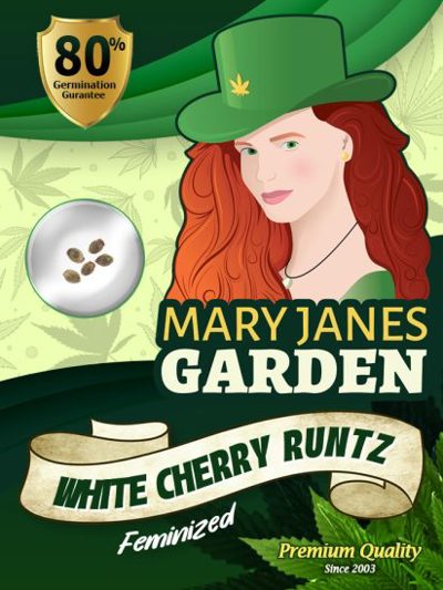 White Cherry Runtz
