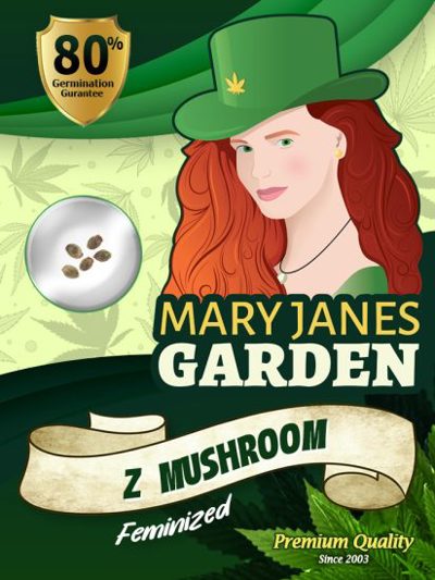Z Mushroom