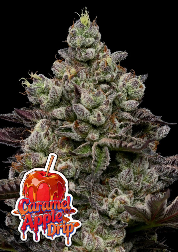 caramel-apple-drip-image