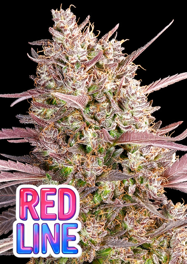 red-line-image