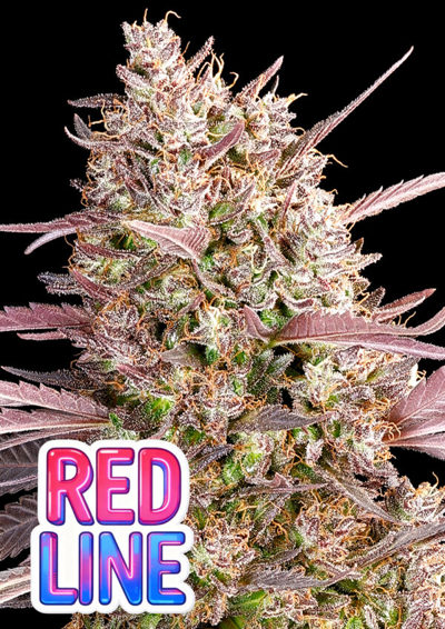 Red Line