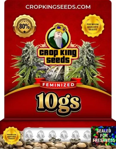 10gs