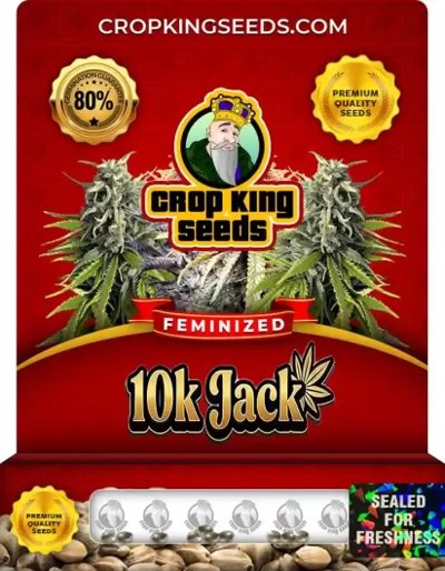 10k Jack