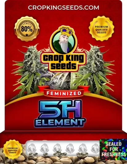 5th-element-image