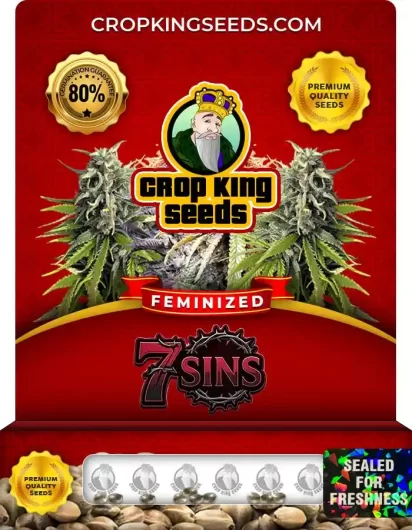 7-sins-image