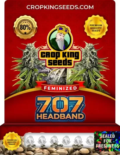707-headband-image