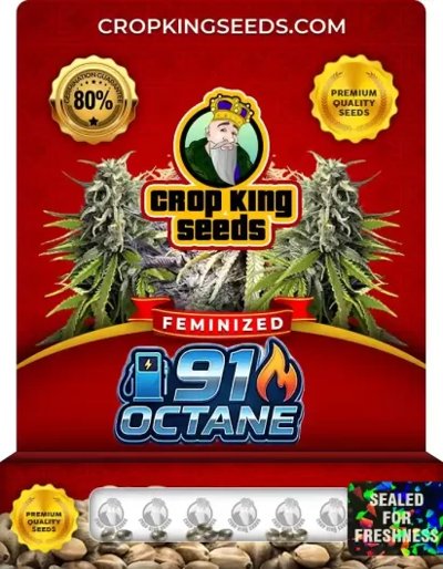 91 Octane
