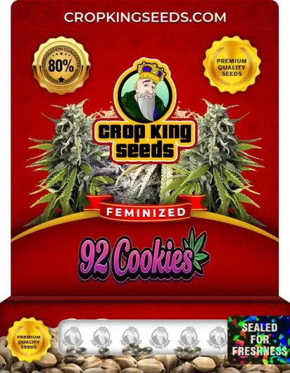 92-cookies-image