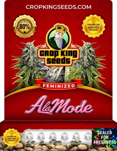 À-la-mode-image