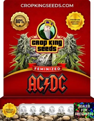 ACDC