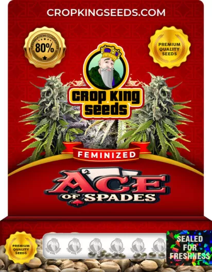 ace-of-spades-image