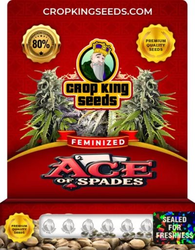 Ace of Spades