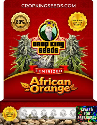african-orange-image