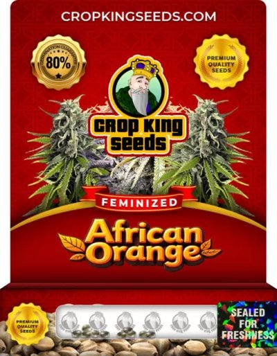 African Orange