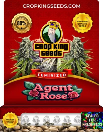 agent-rose-image
