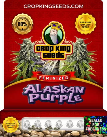 alaskan-purple-image