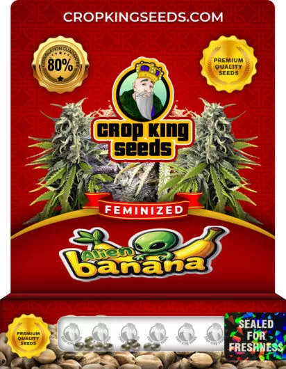 alien-banana-image