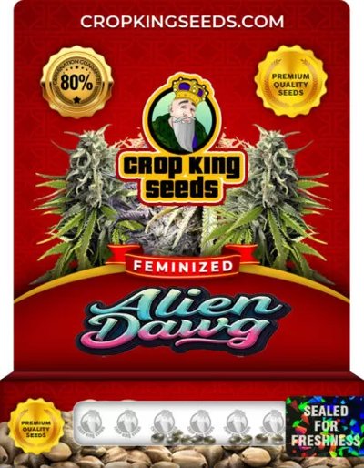 Alien Dawg