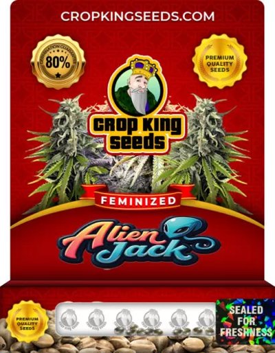 Alien Jack