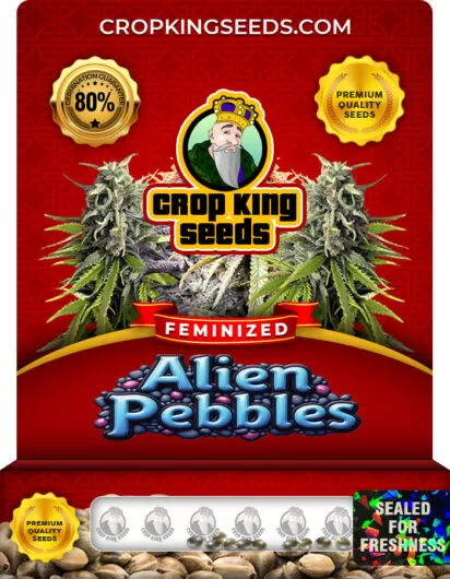 alien-pebbles-image