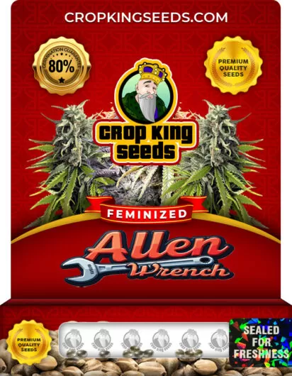 allen-wrench-image