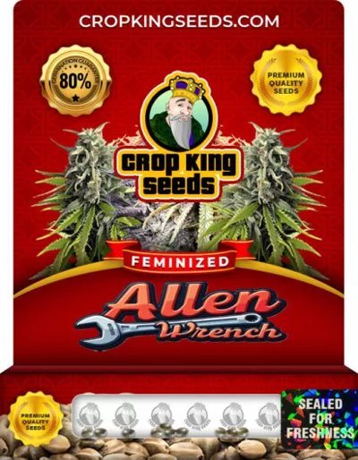 Allen Wrench