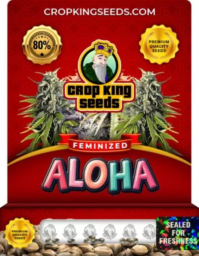 Aloha