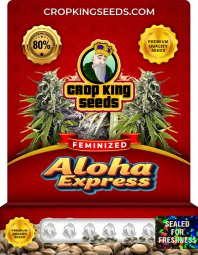 Aloha Express