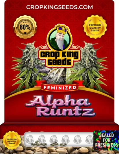 alpha-runtz-image