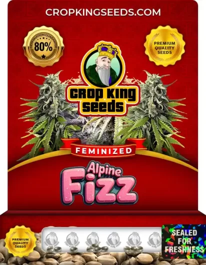 alpine-fizz-image