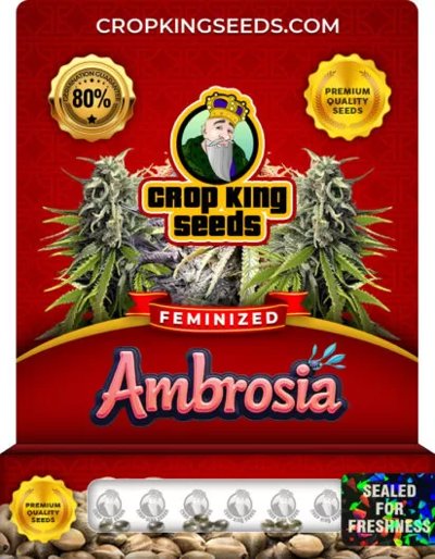 Ambrosia