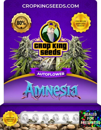 amnesia-autoflower-image