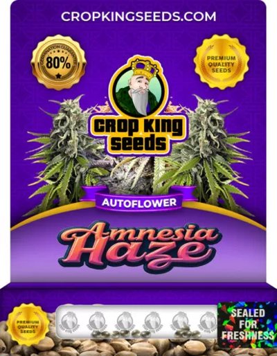 Amnesia Haze Autoflowering