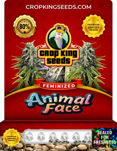 animal-face-image