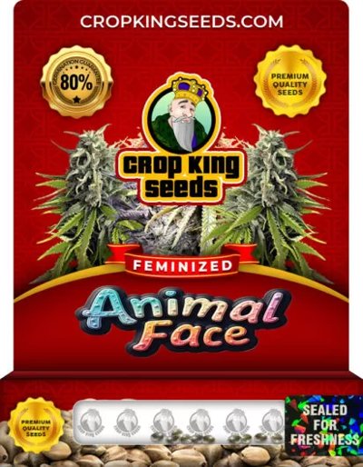 Animal Face
