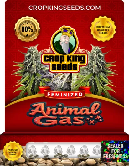 animal-gas-image