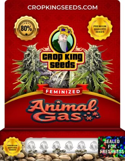 Animal Gas