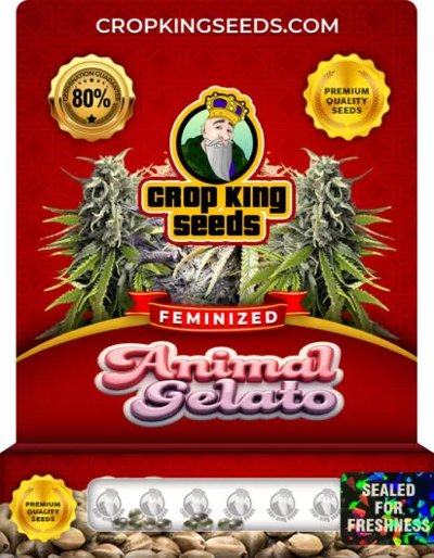 Animal Gelato