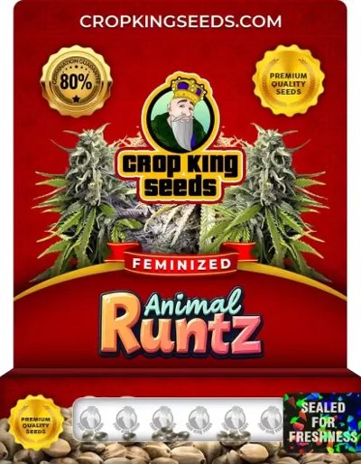 Animal Runtz