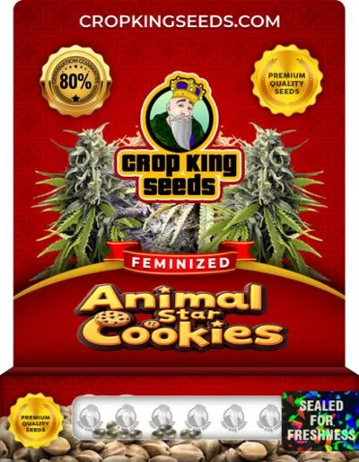 Animal Star Cookies