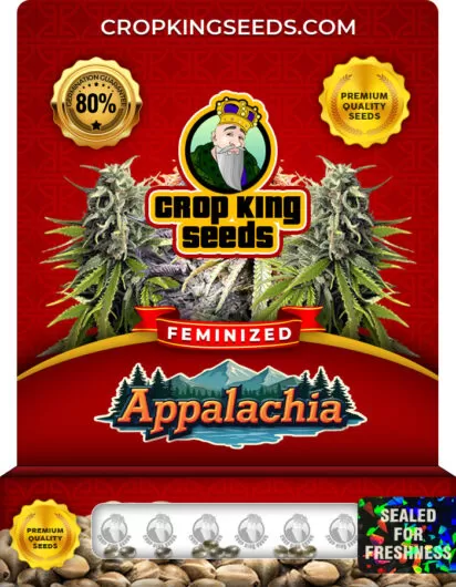 appalachia-image