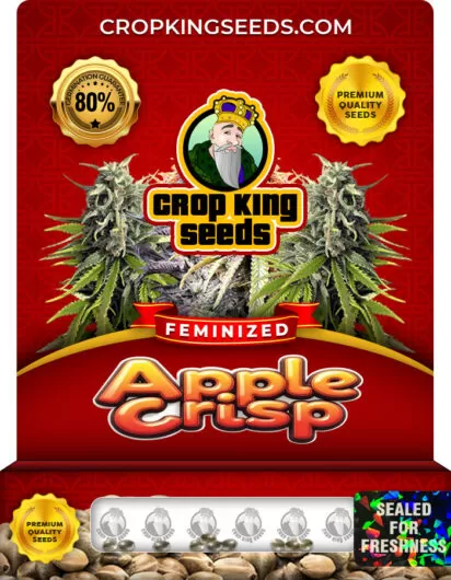 apple-crisp-image