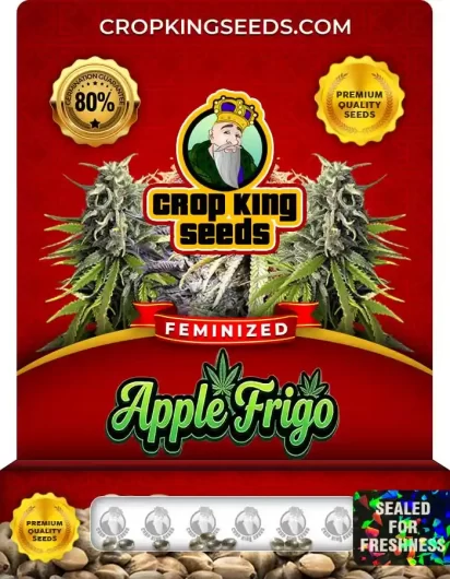 apple-frigo-image