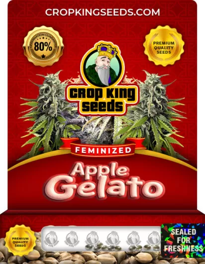 apple-gelato-image