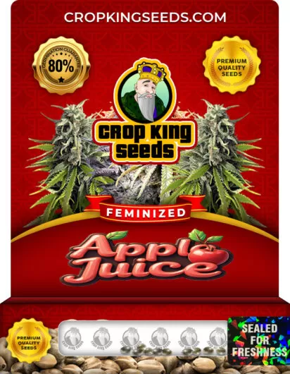 apple-juice-image