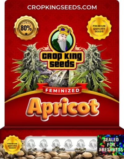 Apricot