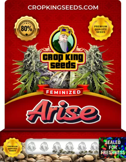 arise-image