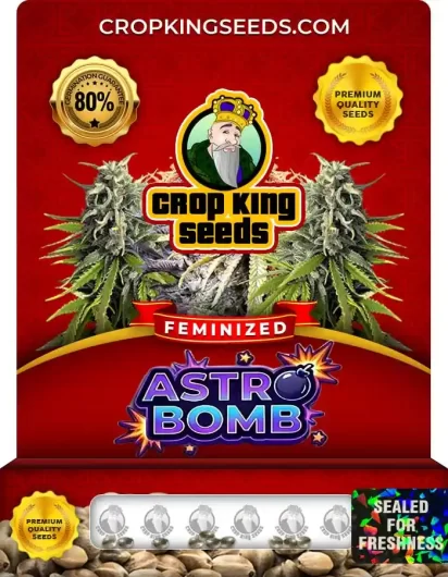 astro-bomb-image