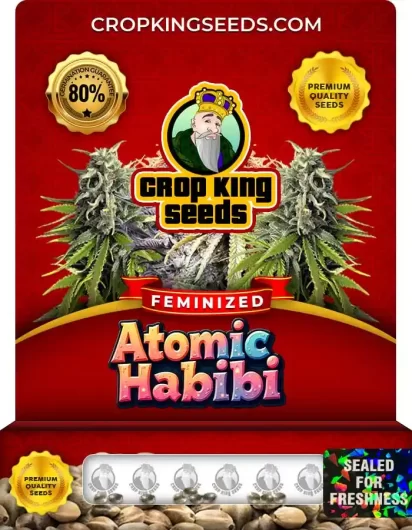 atomic-habibi-image